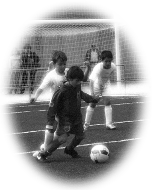 Imagen Inicio Intranet